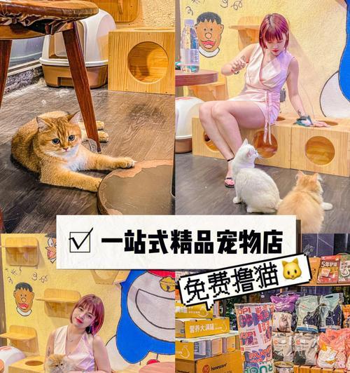 猫之城全涂鸦搭配一览——打造独特的猫之城（发挥创意）